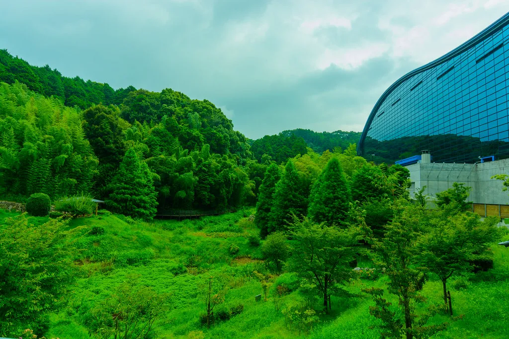 Il Museo Nazionale di Kyūshū immerso nel verde a Dazaifu.