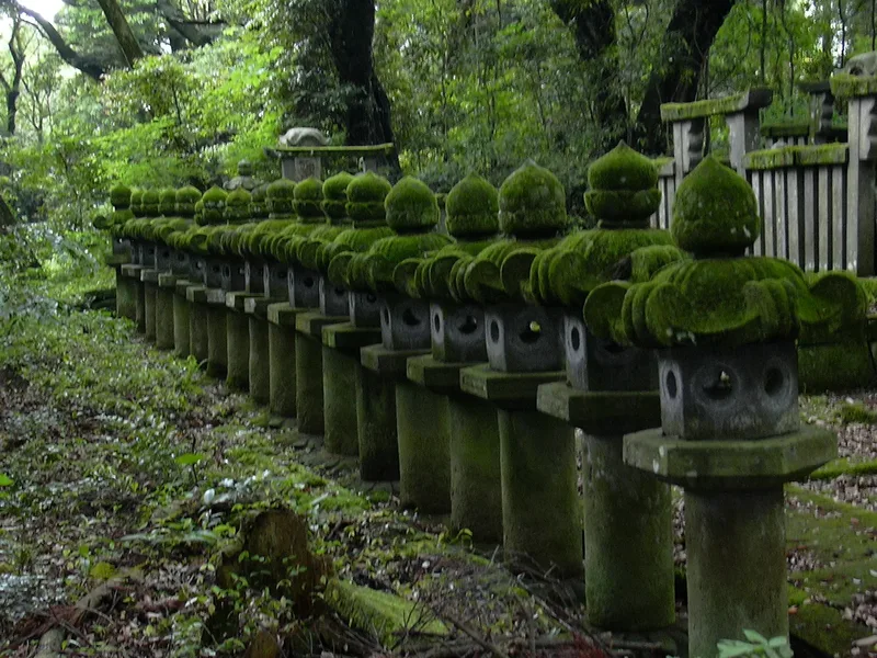 Moss-covered stone lanterns among trees in Hagi, Yamaguchi.