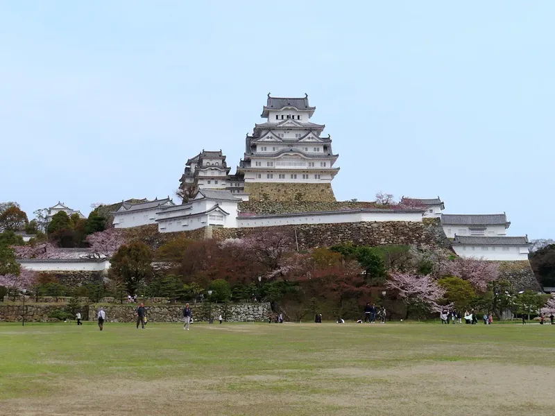 Himeji Castle's white keep above stone walls and trees.