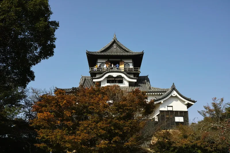 Inuyama Castle's keep rising above trees.