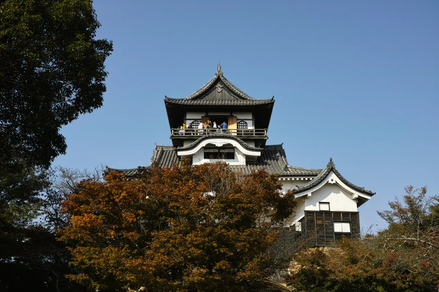 Inuyama Castle steigt immer wieder über Bäumen.