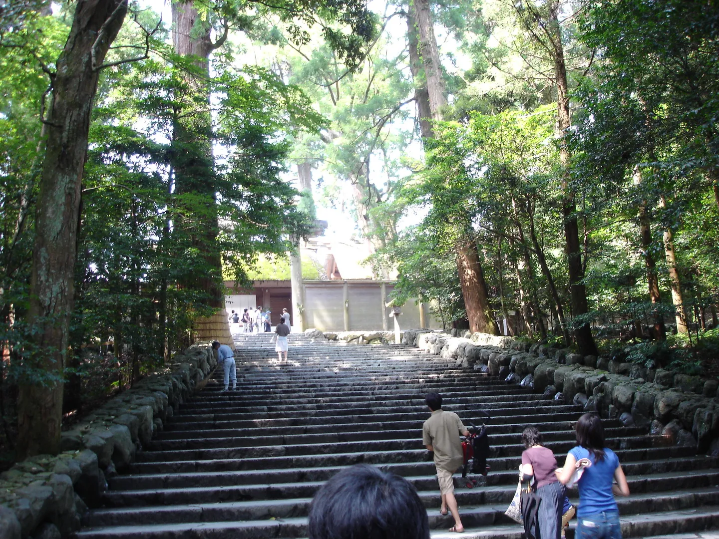 Vizitatori urcând treptele printre copacii mari de la Ise Jingu.