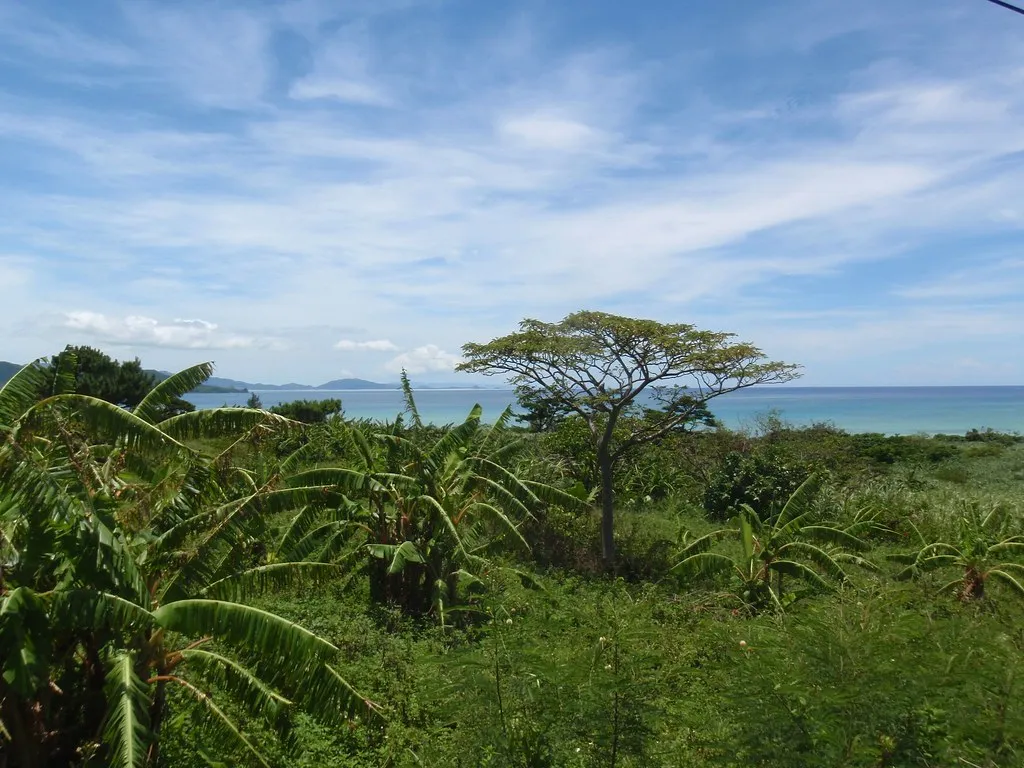 Vegetație verde și peisaj de coastă pe insula Ishigaki, Okinawa.