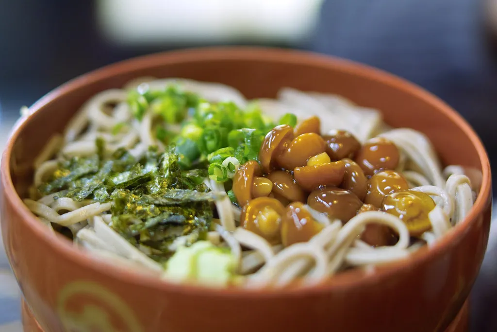 Izumo-style soba with spring onion, seaweed and toppings.