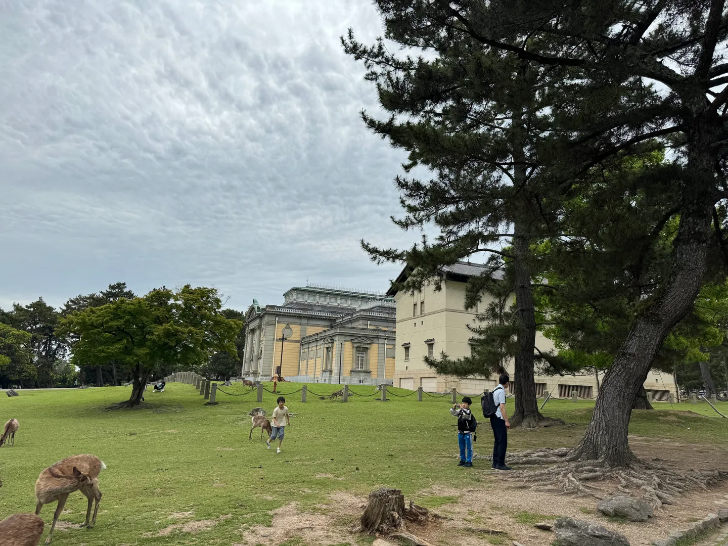 Deer and visitors near Todaiji in Nara.