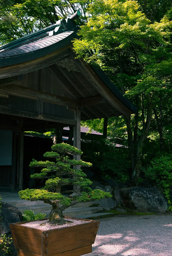 Schrijngebouwen tussen de bomen bij Kirishima-jingu.