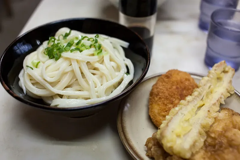 Kagawa-style udon with spring onion and fried side dishes; an illustrative food photograph.