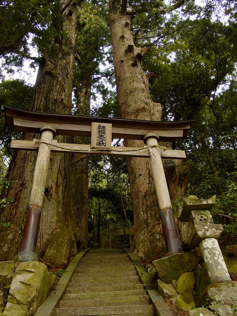 En helligdomsport og en skogkledd trapp ved Tsugizakura-oji på Kumano Kodos Nakahechi-rute.