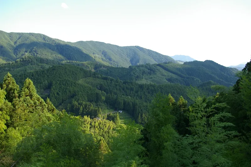 Forested mountains along the Nakahechi route of the Kumano Kodo.