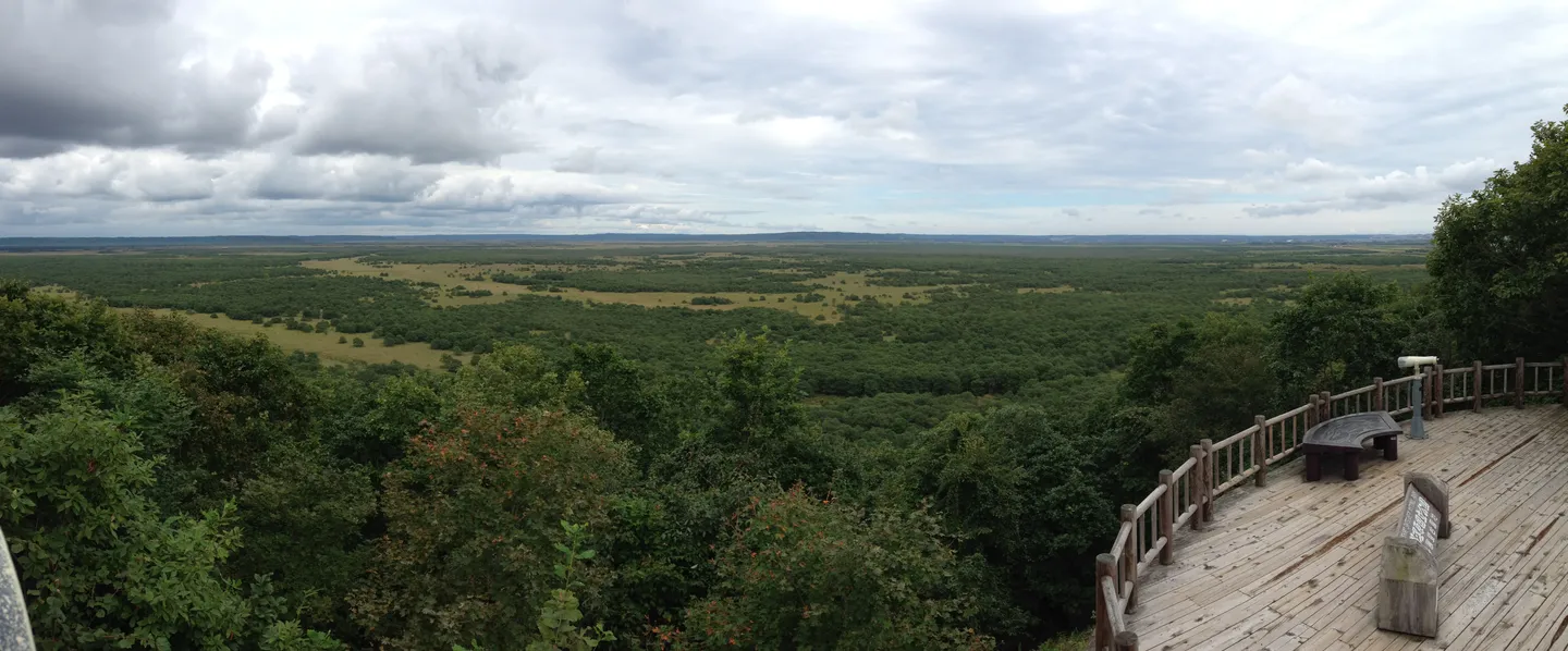 An elevated view of the Kushiro wetlands.