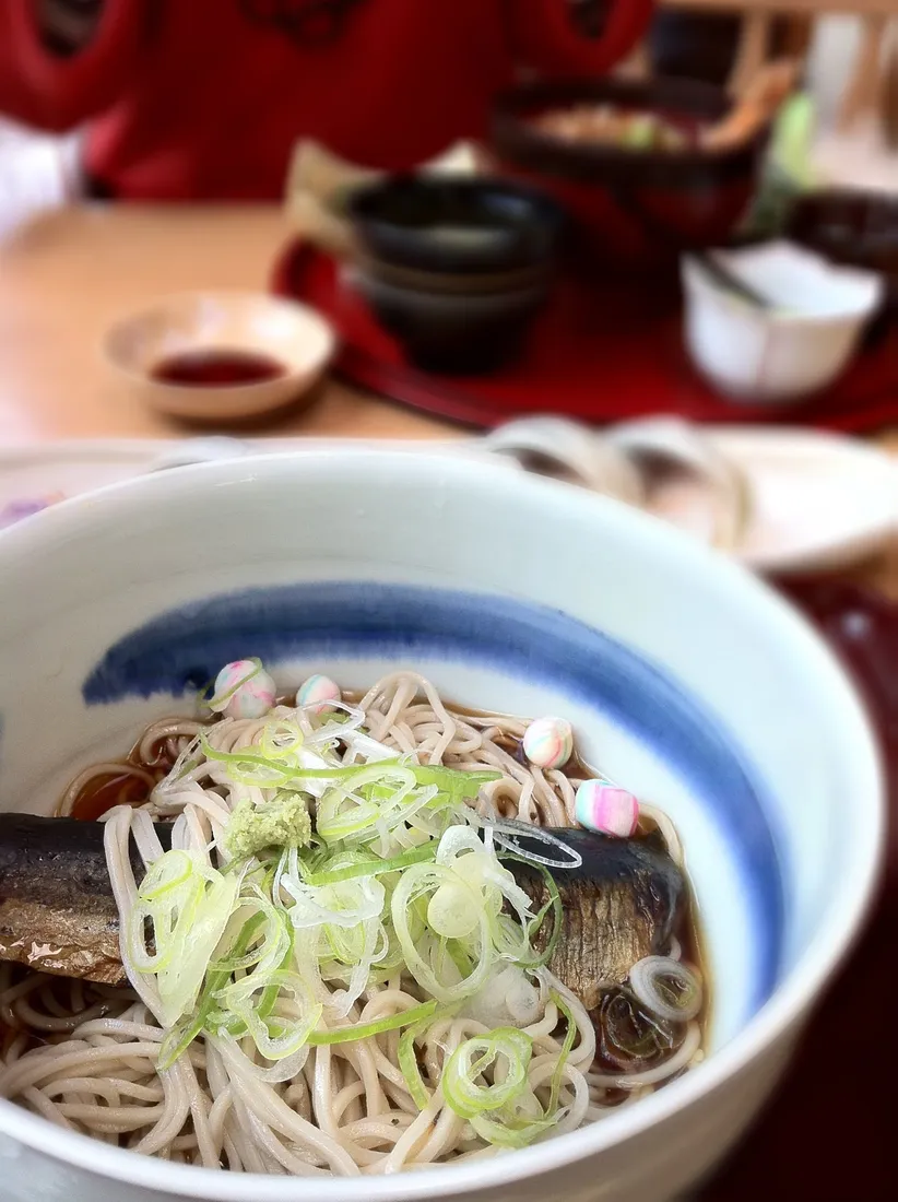 Nišin soba se sleďem a jarní cibulkou, vyfocená v Kjótu.