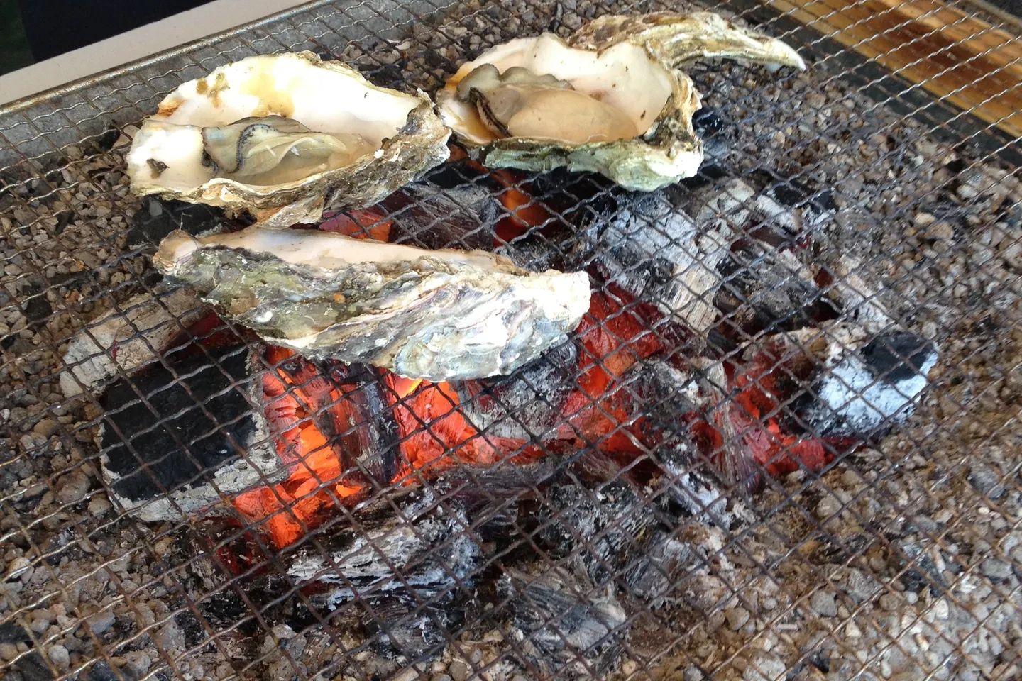 Grilled oysters in Matsushima.