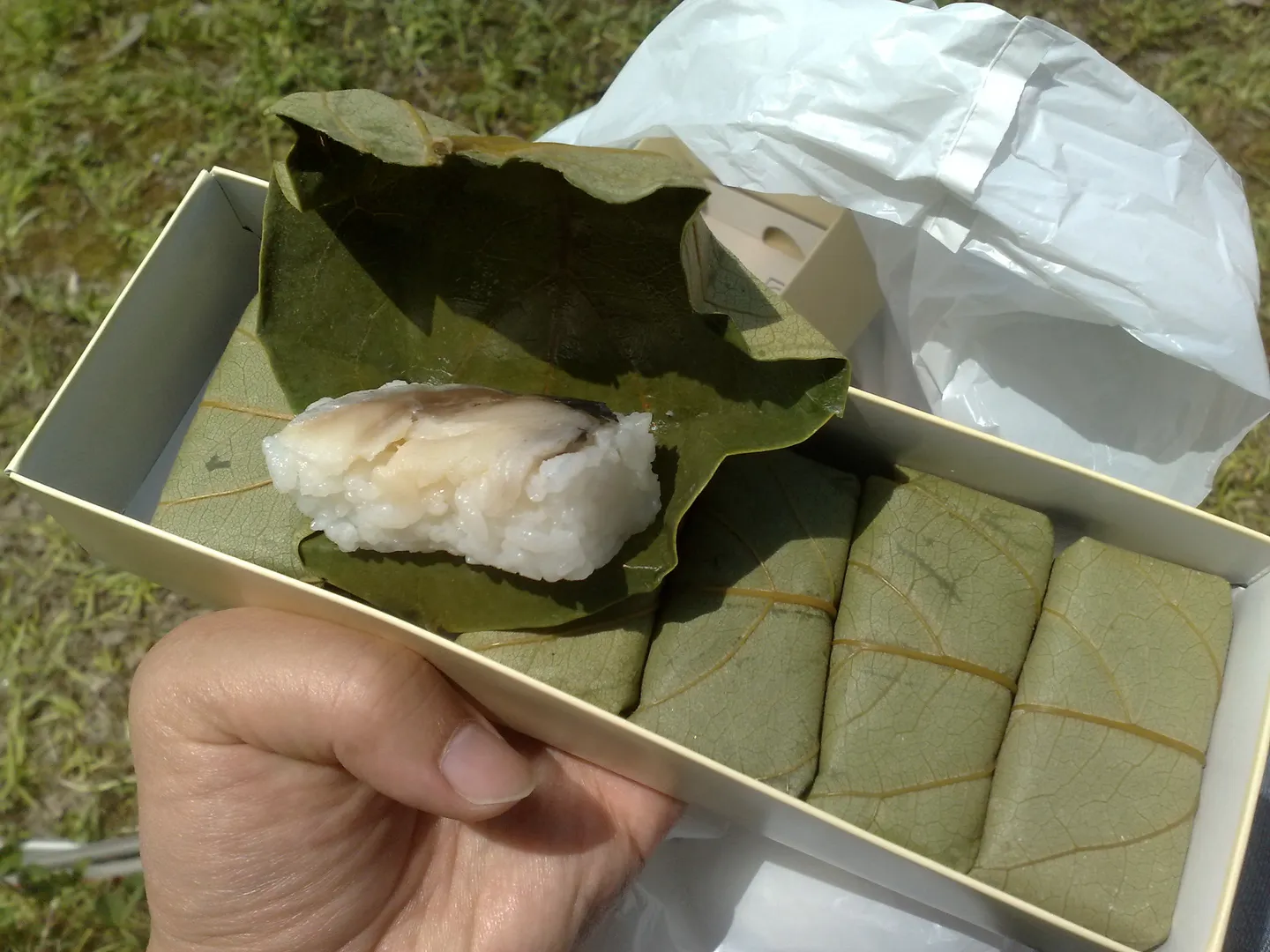Kakinoha-zushi: sushi pressé enveloppé dans des feuilles de persimmon, avec une pièce déballée.