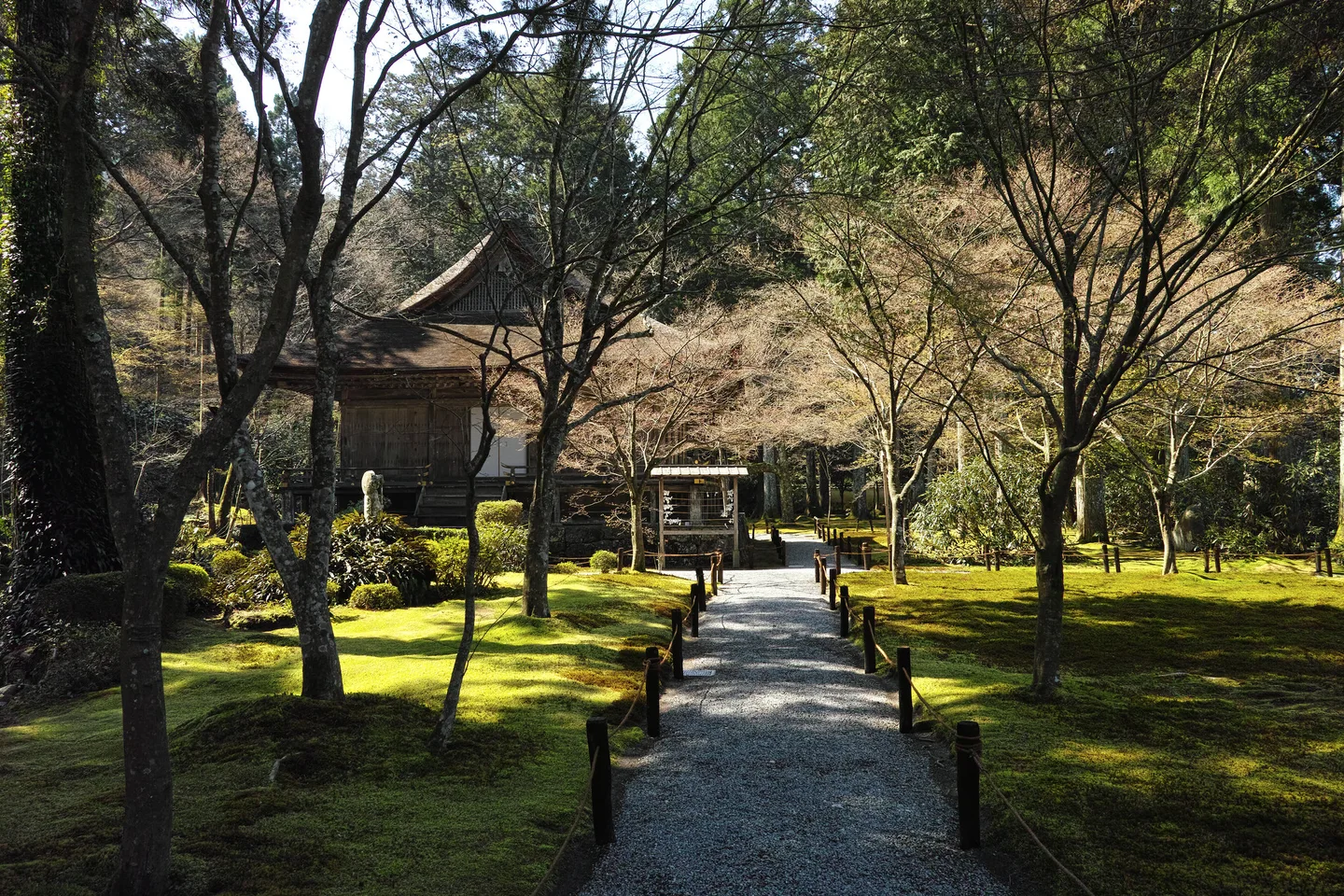 A moss-covered garden path at Sanzen-in in Ohara, Kyoto.