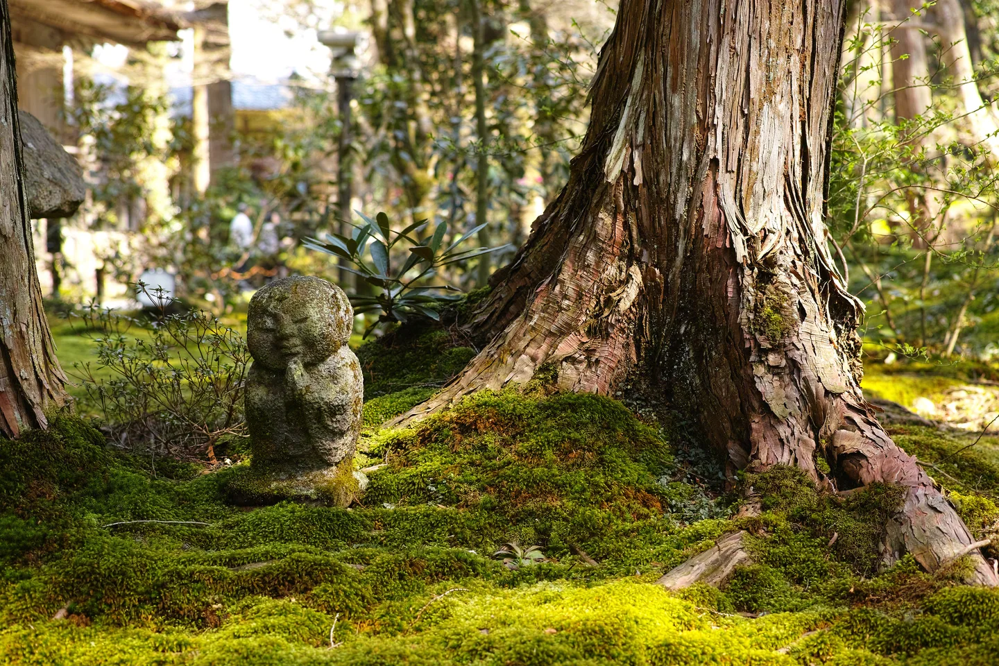 A small stone statue among moss and trees at Sanzen-in in Ohara, Kyoto.