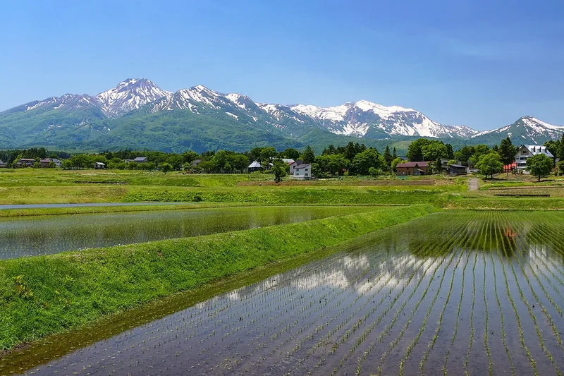 Rice fields and the Kubiki mountains in Joetsu