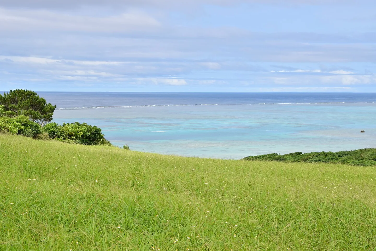 Havet og det grønne græs på Ishigaki Island