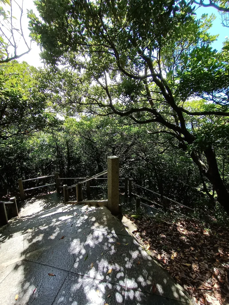 A leafy path at Nihon-ji on Mount Nokogiri