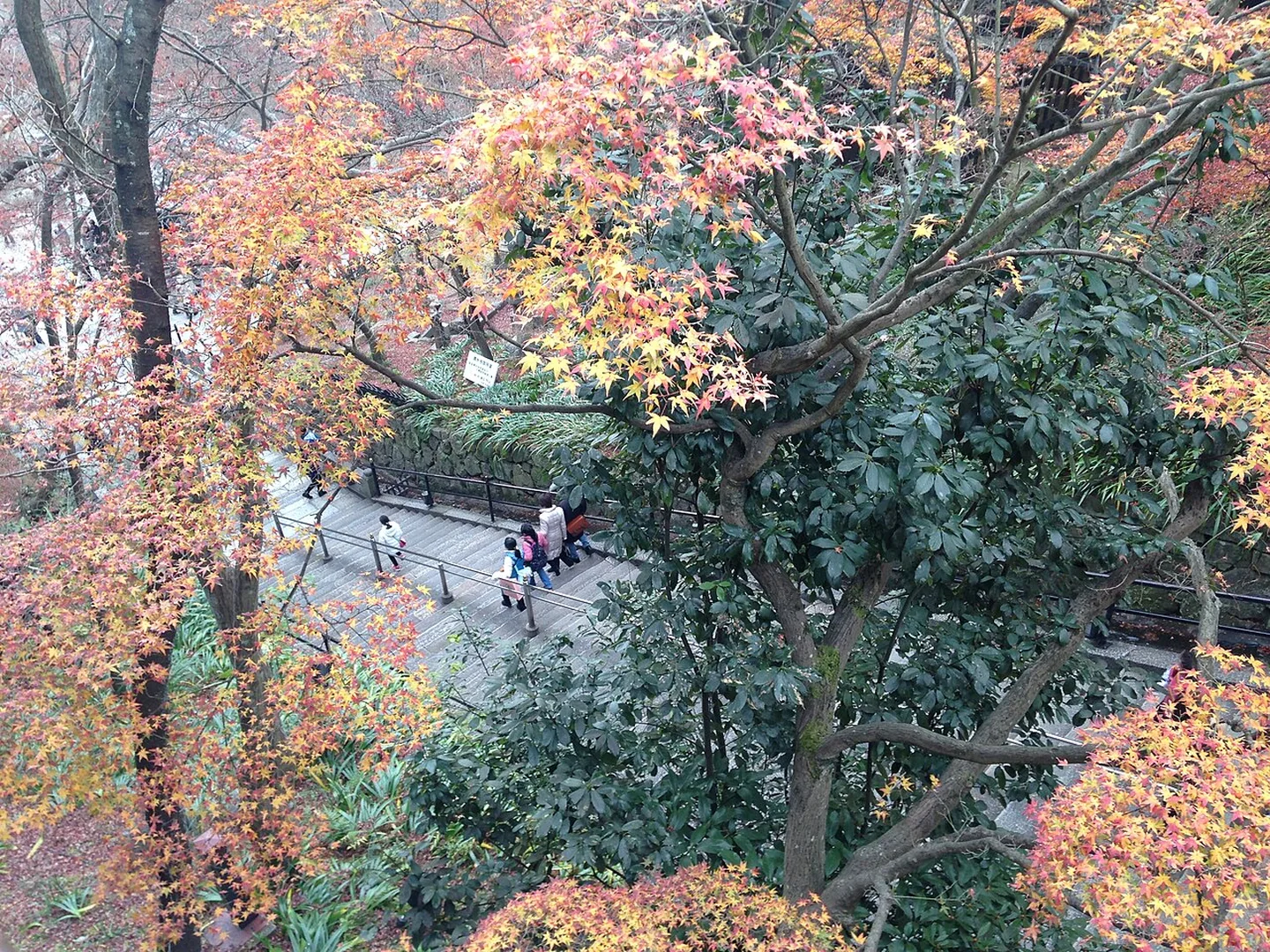 L'automne part à côté d'un sentier à Kiyomizu-dera