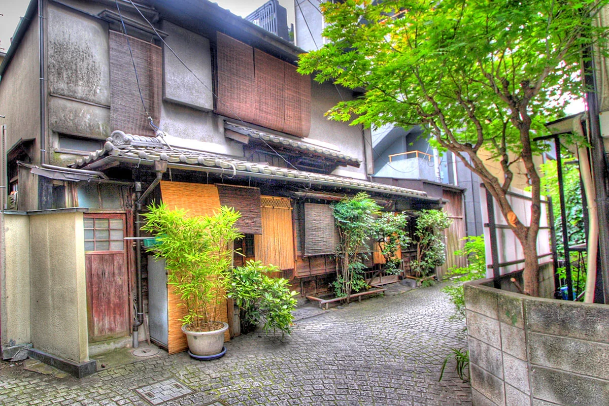 Un carril frondoso en Kagurazaka