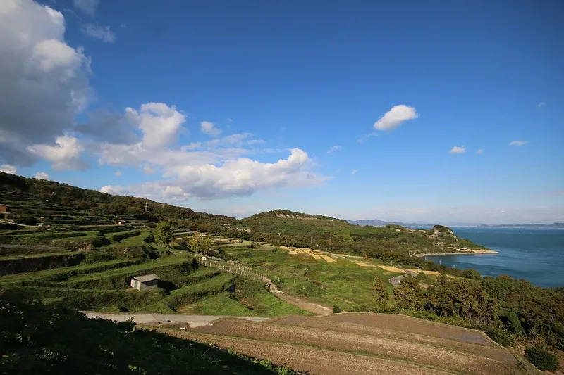 Terraced fields near Teshima Art Museum