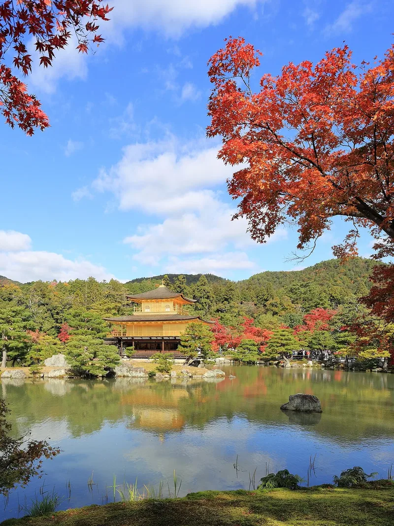 Kinkaku-ji and autumn foliage in Kyoto