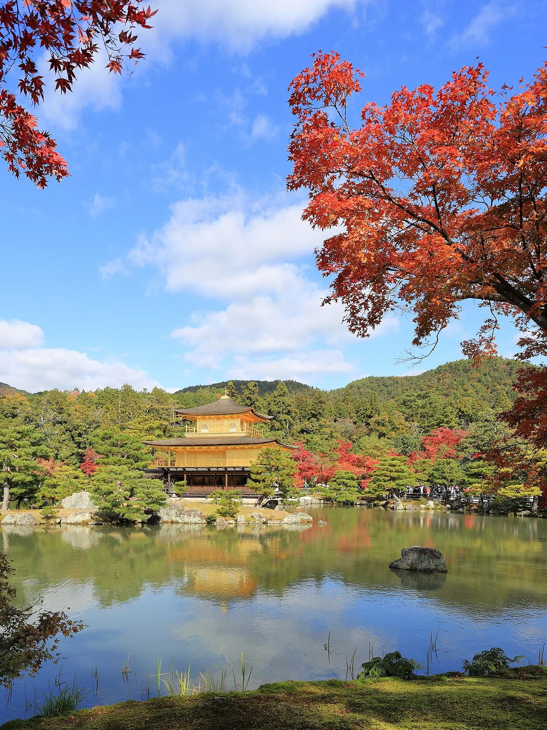 Kinkaku-ji et feuillage d'automne à Kyoto
