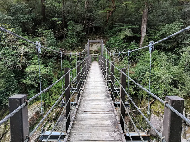 A suspension footbridge in Yakusugi Land on Yakushima