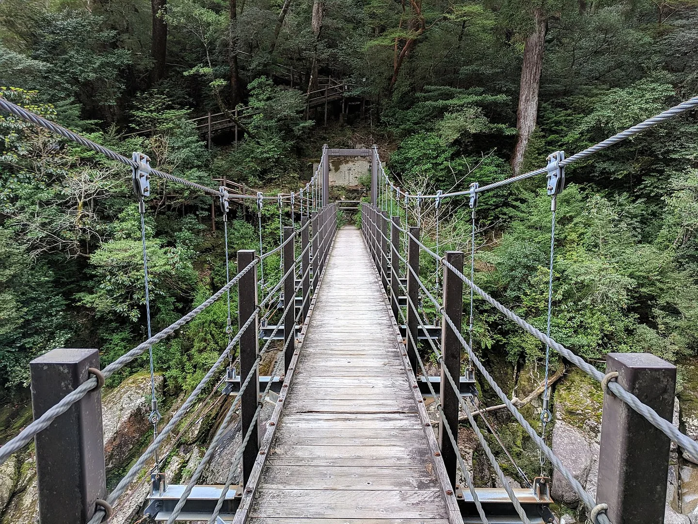 Závěsný lávkový most v Yakusugi Land na ostrově Jakušima
