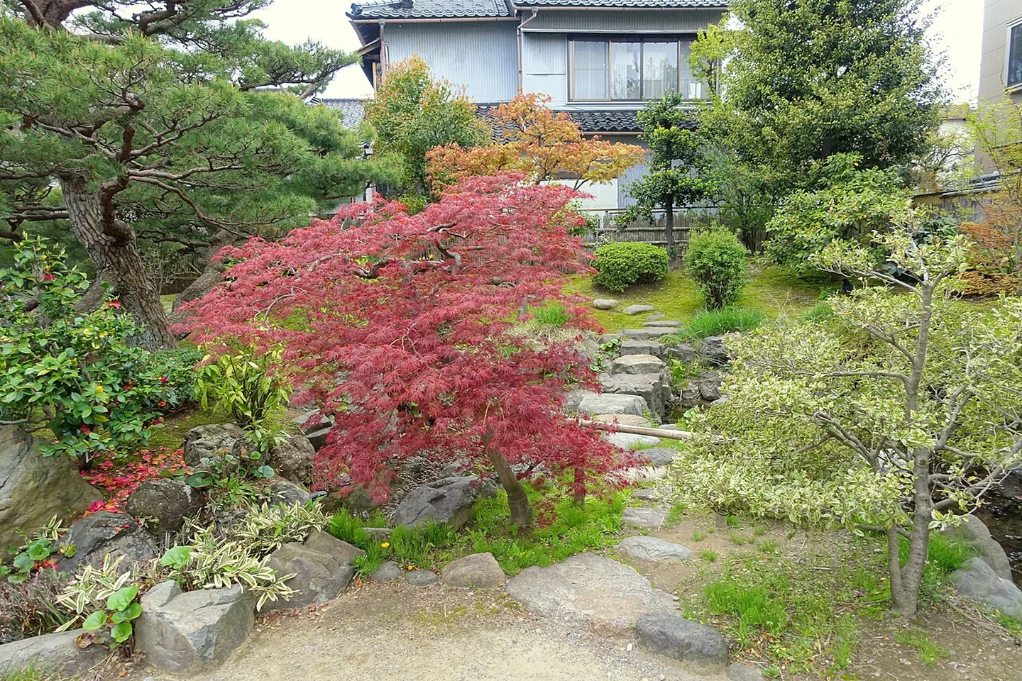 The garden at the Takada Family Residence in Kanazawa
