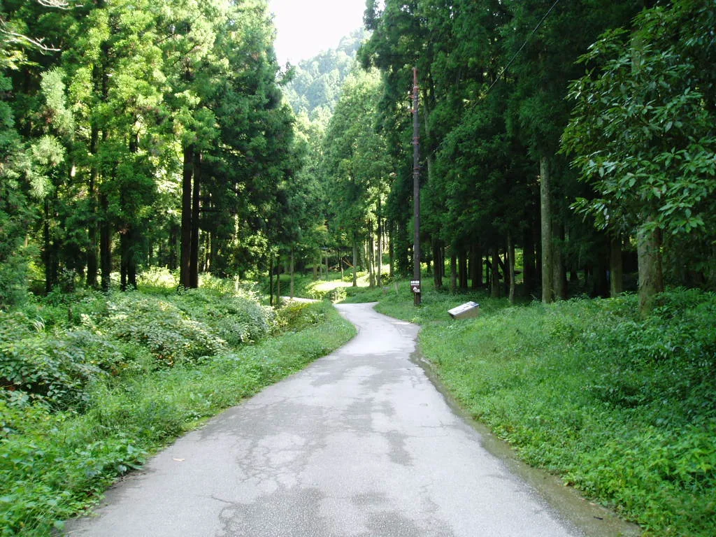 Metsäinen kävelytie lähellä Iwami Ginzania