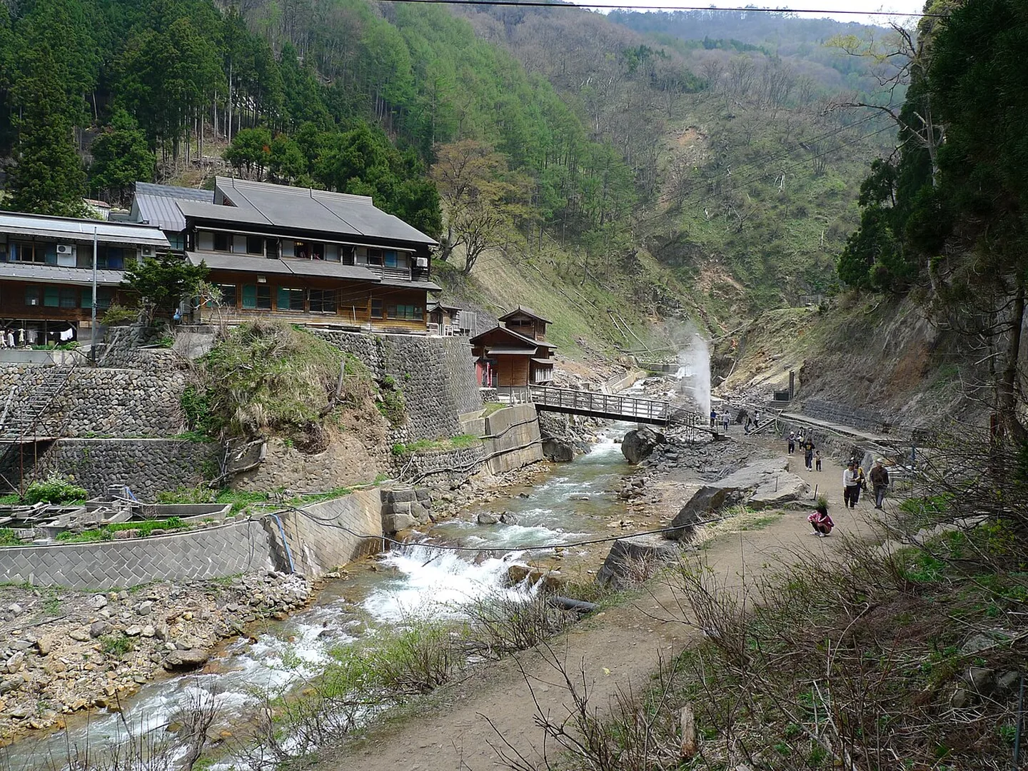 Dalen i Jigokudani Monkey Park