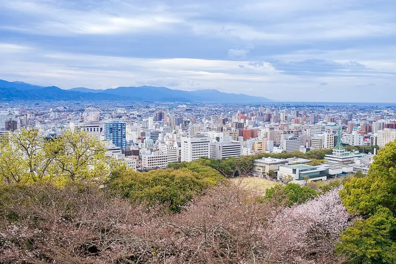 Cherry blossoms and Matsuyama viewed from Matsuyama Castle