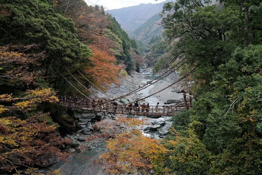 Un puente de vid rodeado de follaje de otoño en el valle de Iya.