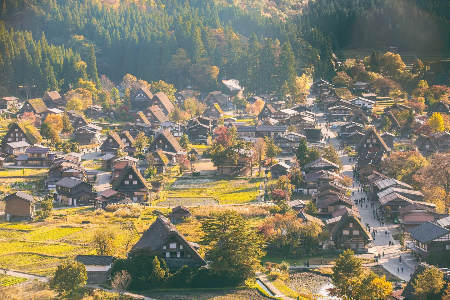 Das Dorf Ogimachi in Shirakawa-go, mit Strohhäusern und Feldern.
