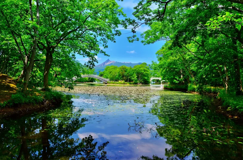 Still water and green trees in Onuma Quasi-National Park.