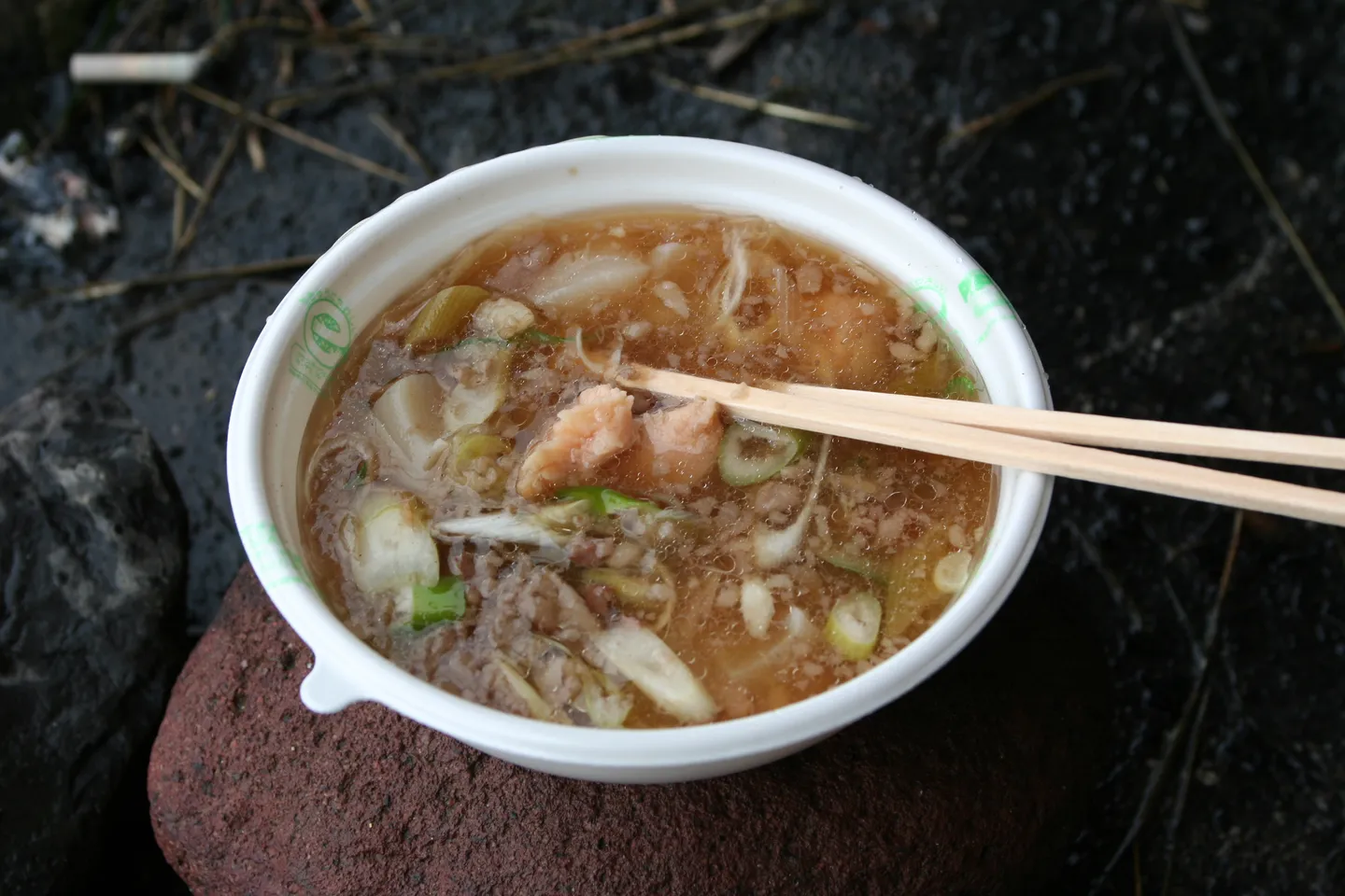 Un bol de ragoût régional sur une photographie culinaire du Tōhoku.