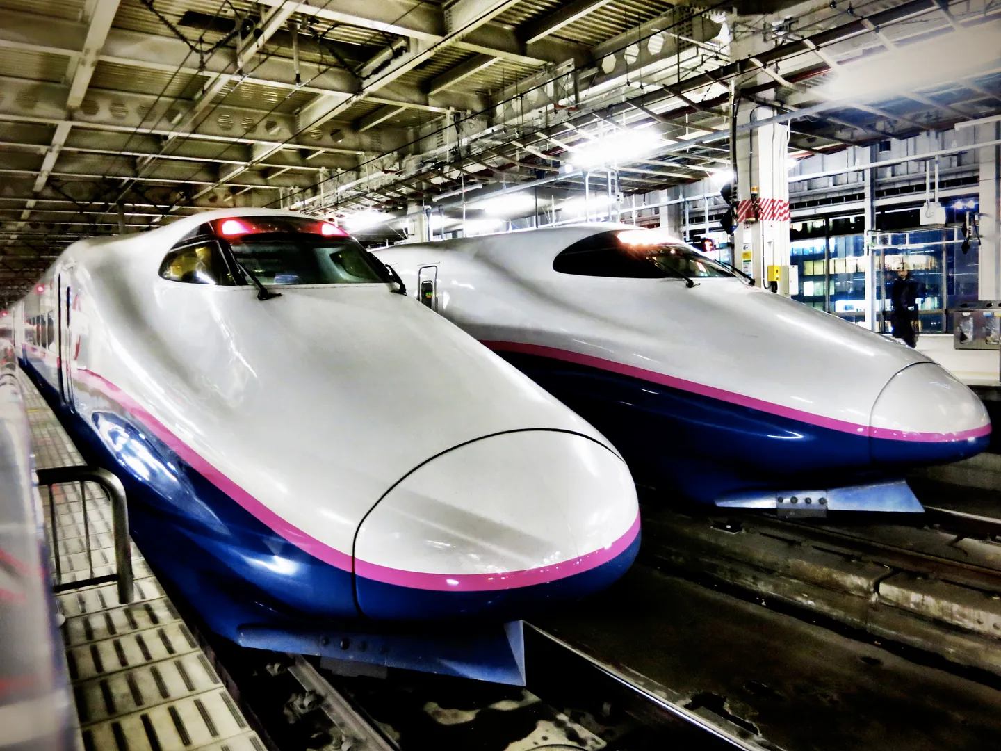 Ein JR East E2 Shinkansen auf dem Yamabiko-Service.
