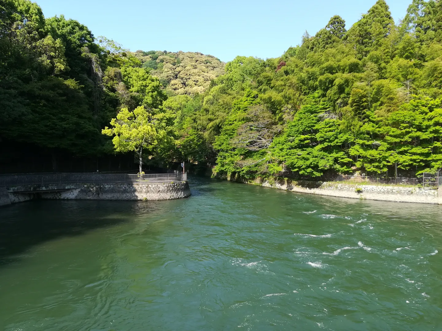 Green water and tree-lined banks of the Uji River.