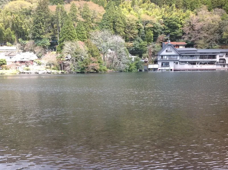 Trees and buildings beside Lake Kinrin in Yufuin.