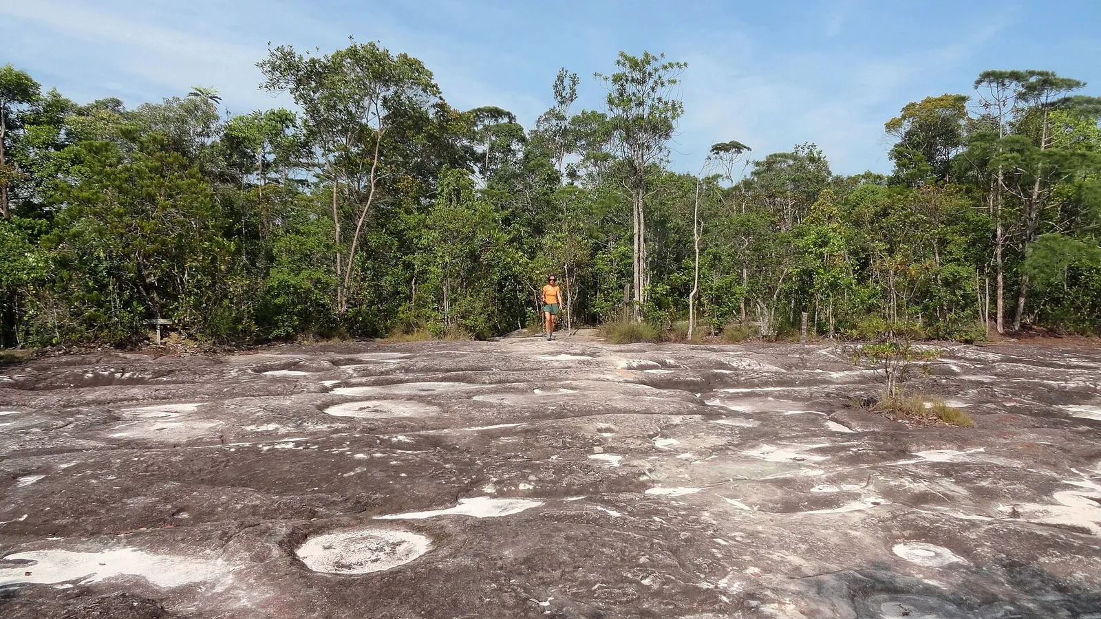 Open rock plateau surrounded by trees at Bako National Park