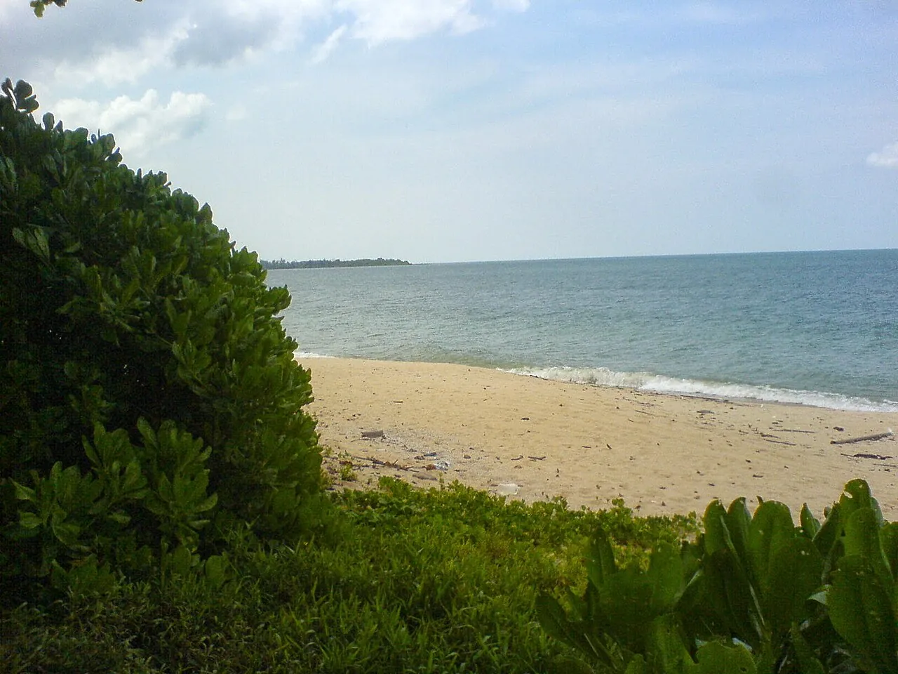 Coastal greenery and sand beside the sea at Desaru