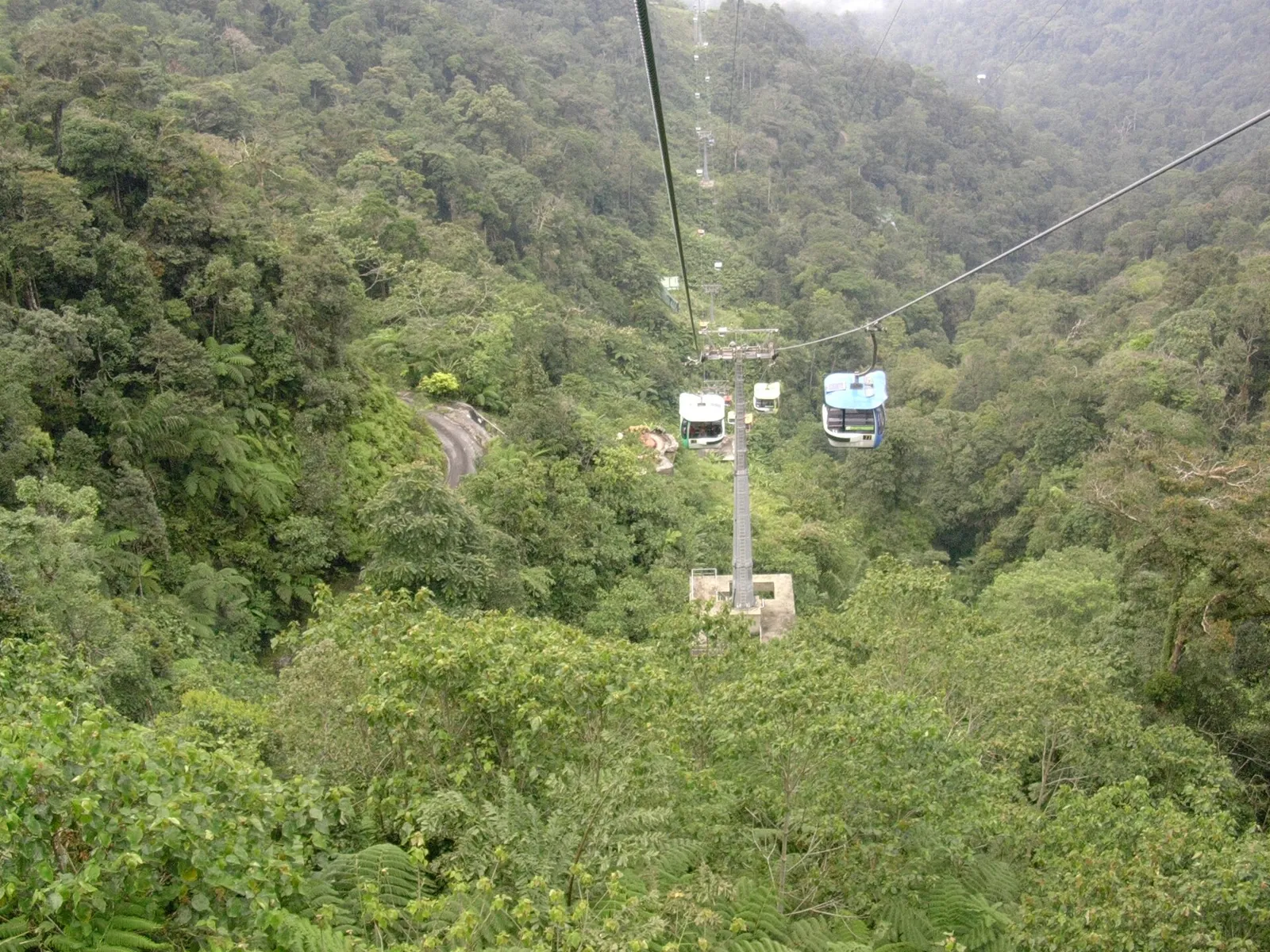 Cable cars above forested slopes in Genting Highlands