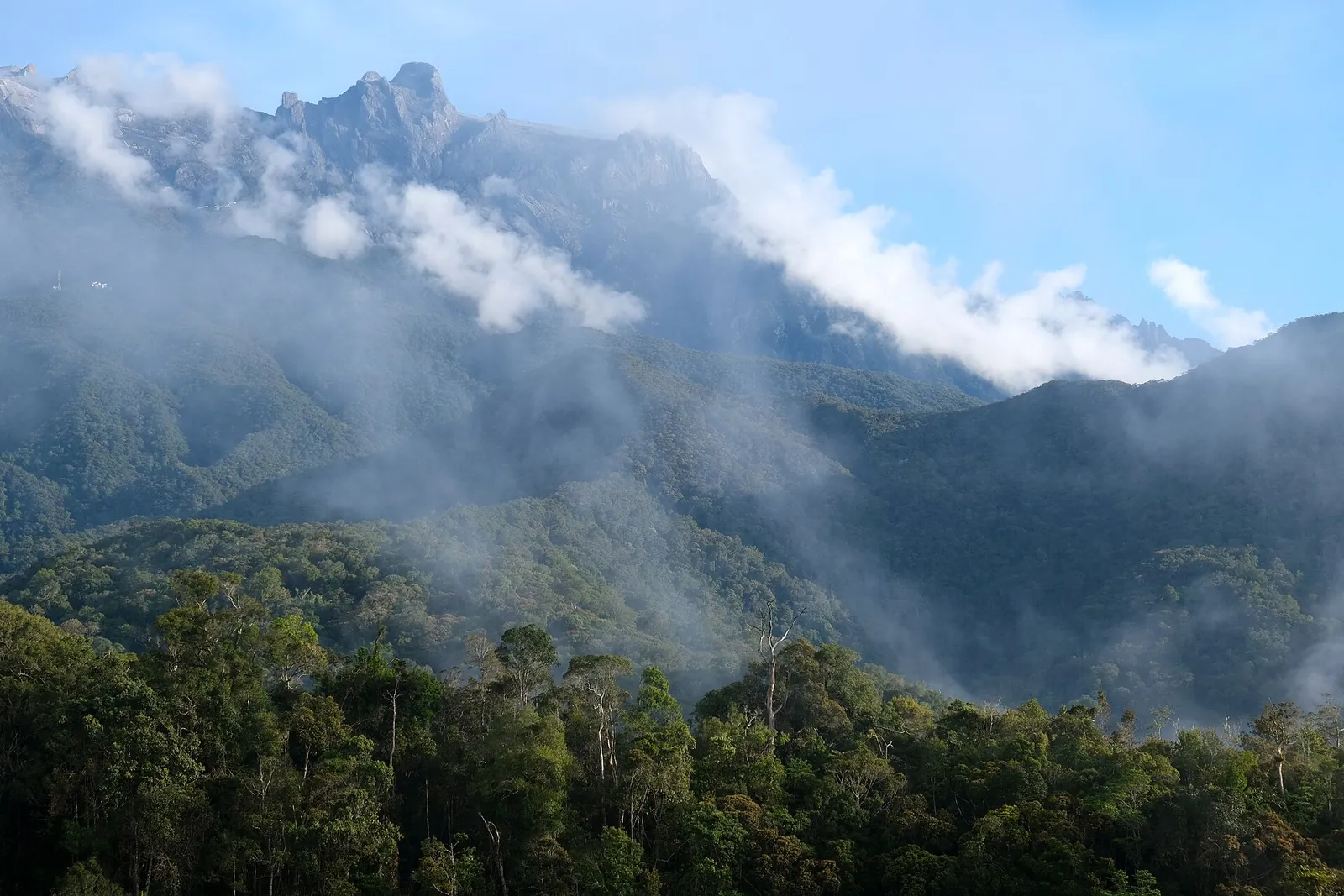 Chmury nad lasem deszczowym i Mount Kinabalu koło Kundasang