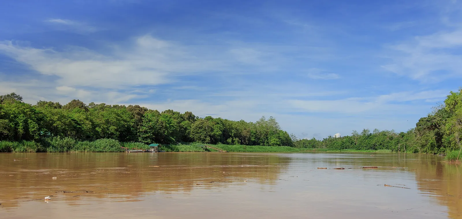 The Kinabatangan River beside green forest at Bilit under a blue sky