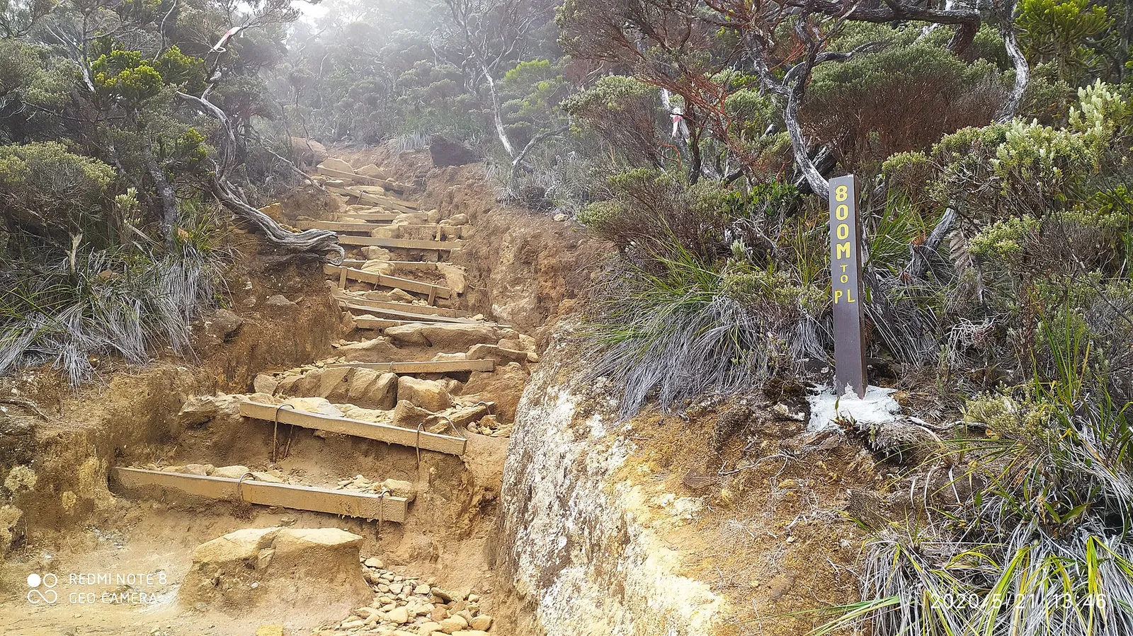 Rocky steps and trees on the Mount Kinabalu ascent route