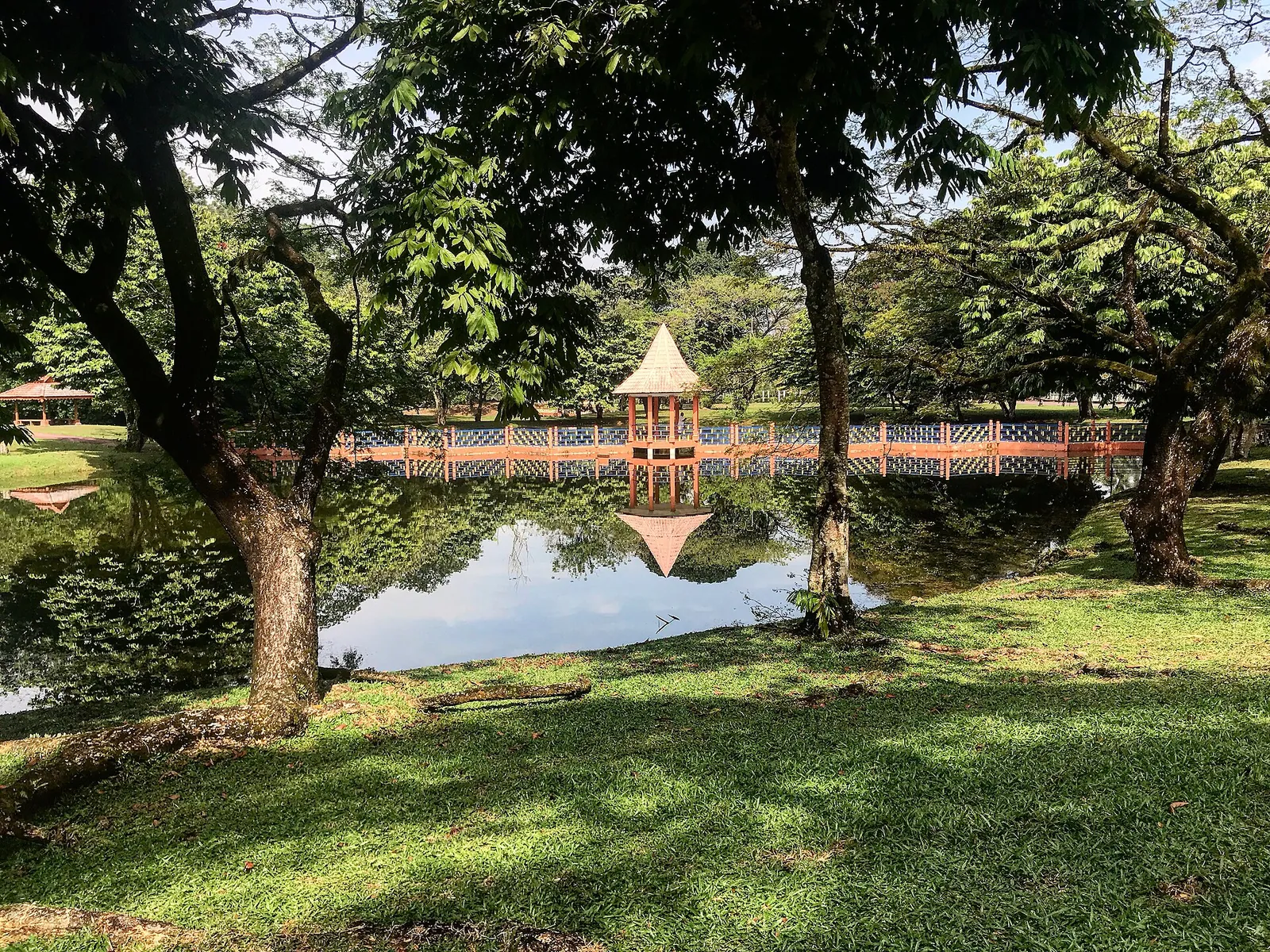 Pink bridge among trees at Taiping Lake Gardens