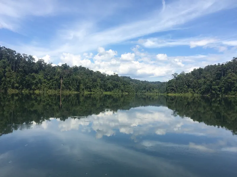 Forest-covered shores reflected in calm lake water beneath a blue sky