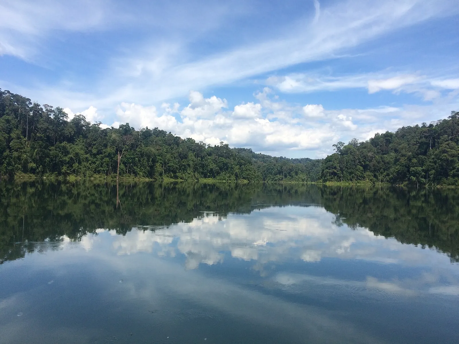 Forest-covered shores reflected in calm lake water beneath a blue sky