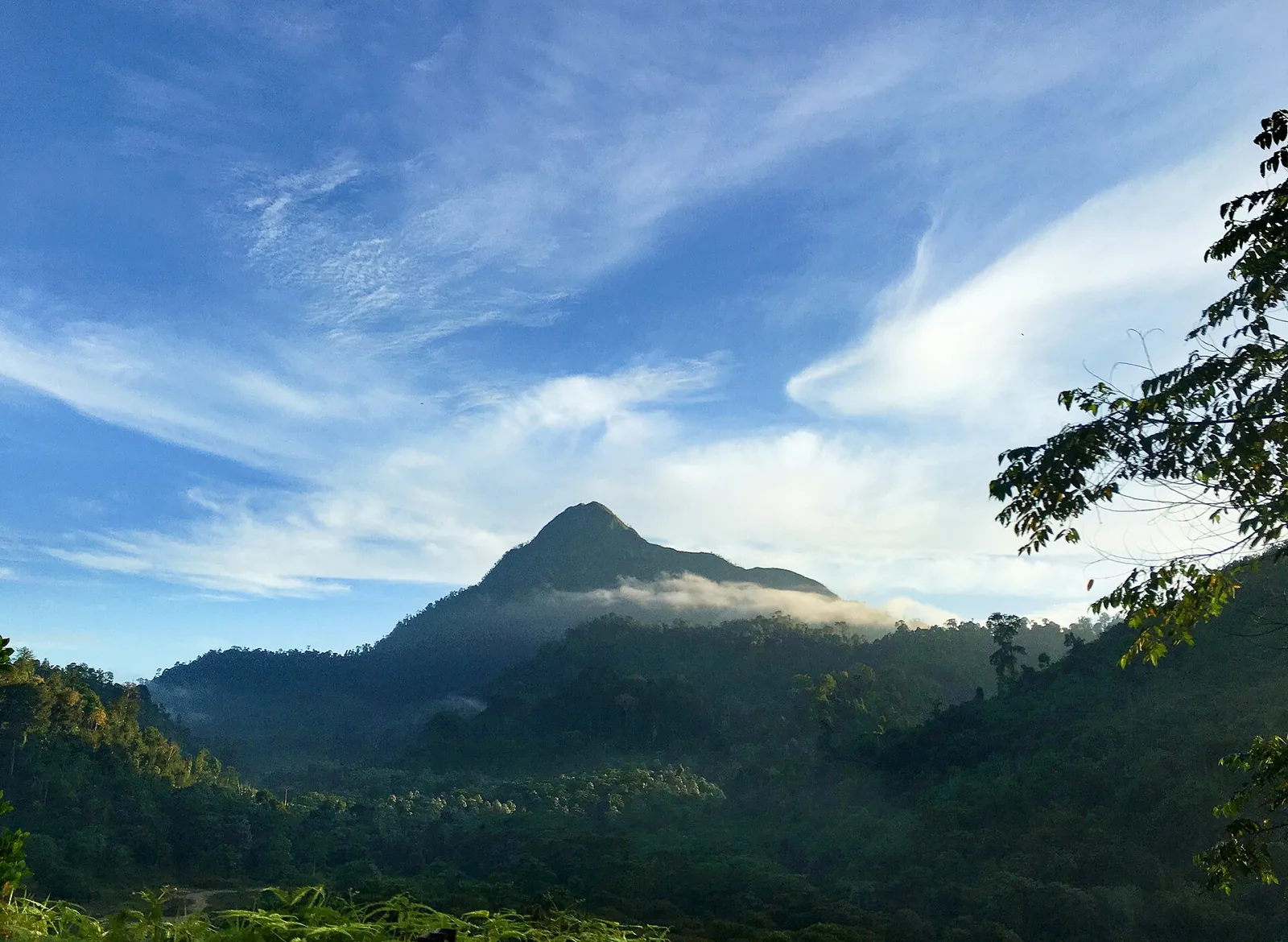 Forested mountain rising above a green rainforest canopy